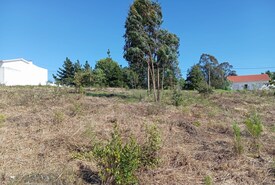 Terreno Rstico T0 - Alvorninha, Caldas da Rainha, Leiria - Miniatura: 4/10