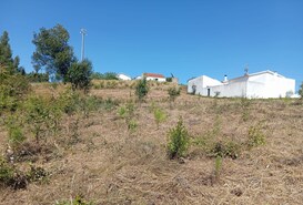 Terreno Rstico T0 - Alvorninha, Caldas da Rainha, Leiria - Miniatura: 6/10