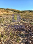 Terreno Rstico T0 - Santo Onofre, Caldas da Rainha, Leiria - Miniatura: 5/10