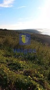Terreno Rstico T0 - Santo Onofre, Caldas da Rainha, Leiria - Miniatura: 10/10
