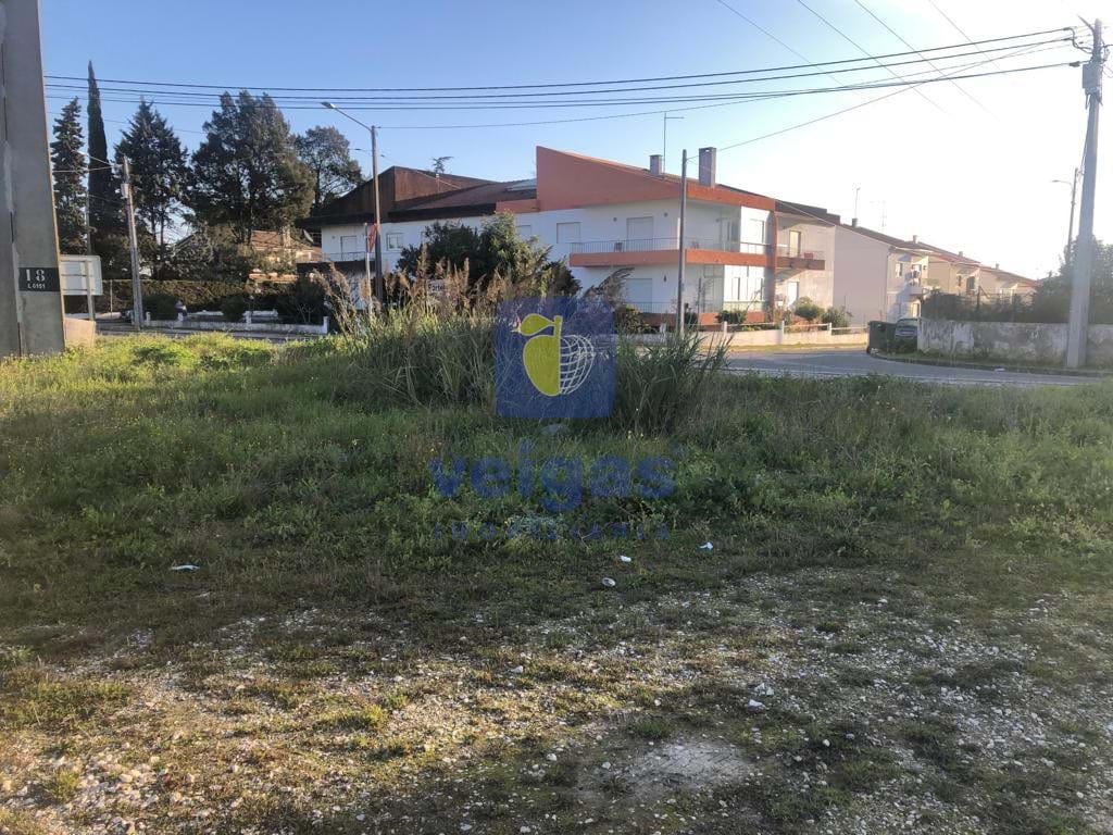 Terreno R�stico T0 - Vale de Santar�m, Santar�m, Santar�m - Miniatura: 7/11