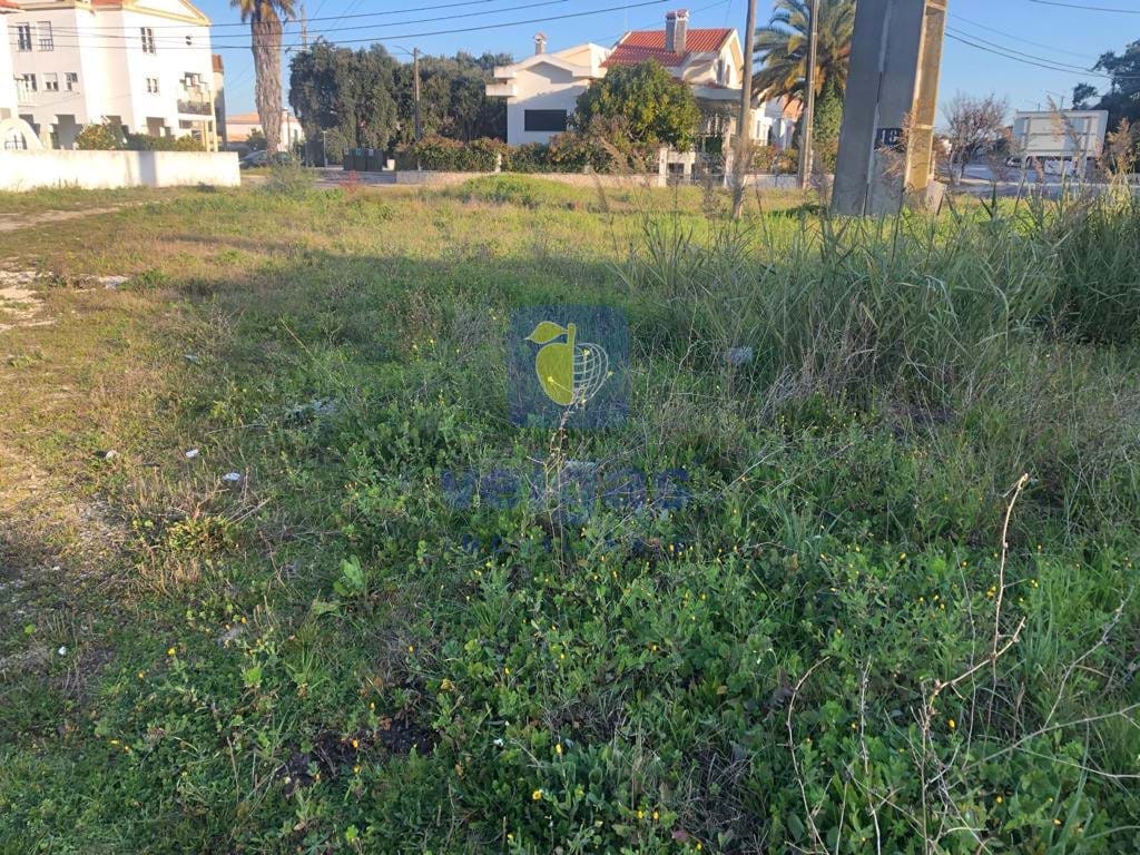 Terreno R�stico T0 - Vale de Santar�m, Santar�m, Santar�m - Miniatura: 9/11