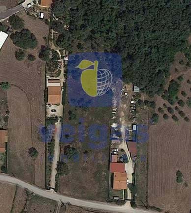 Terreno R�stico T0 - Vimeiro, Alcoba�a, Leiria - Miniatura: 15/16