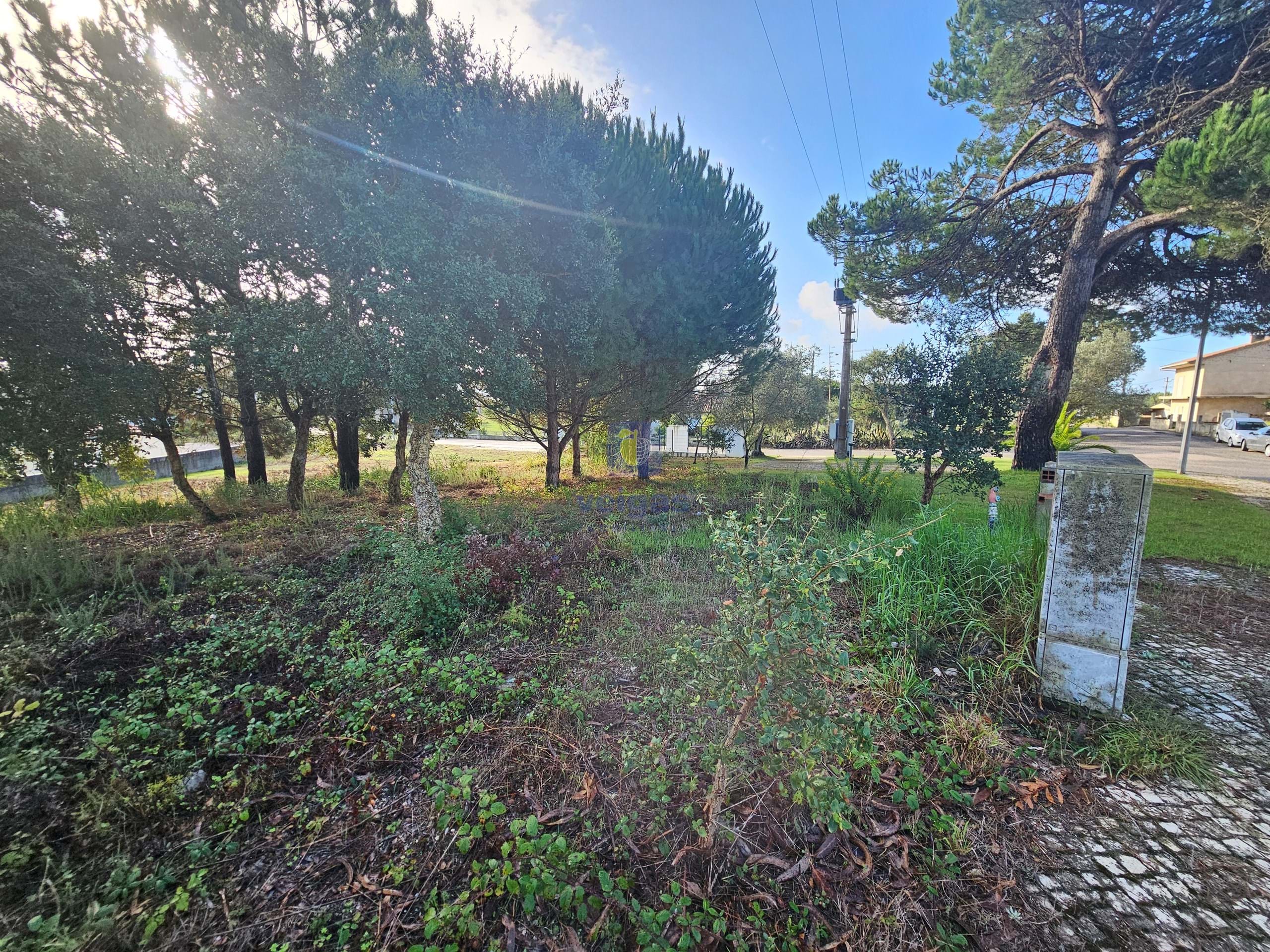Terreno R�stico T0 - Nadadouro, Caldas da Rainha, Leiria - Miniatura: 1/5