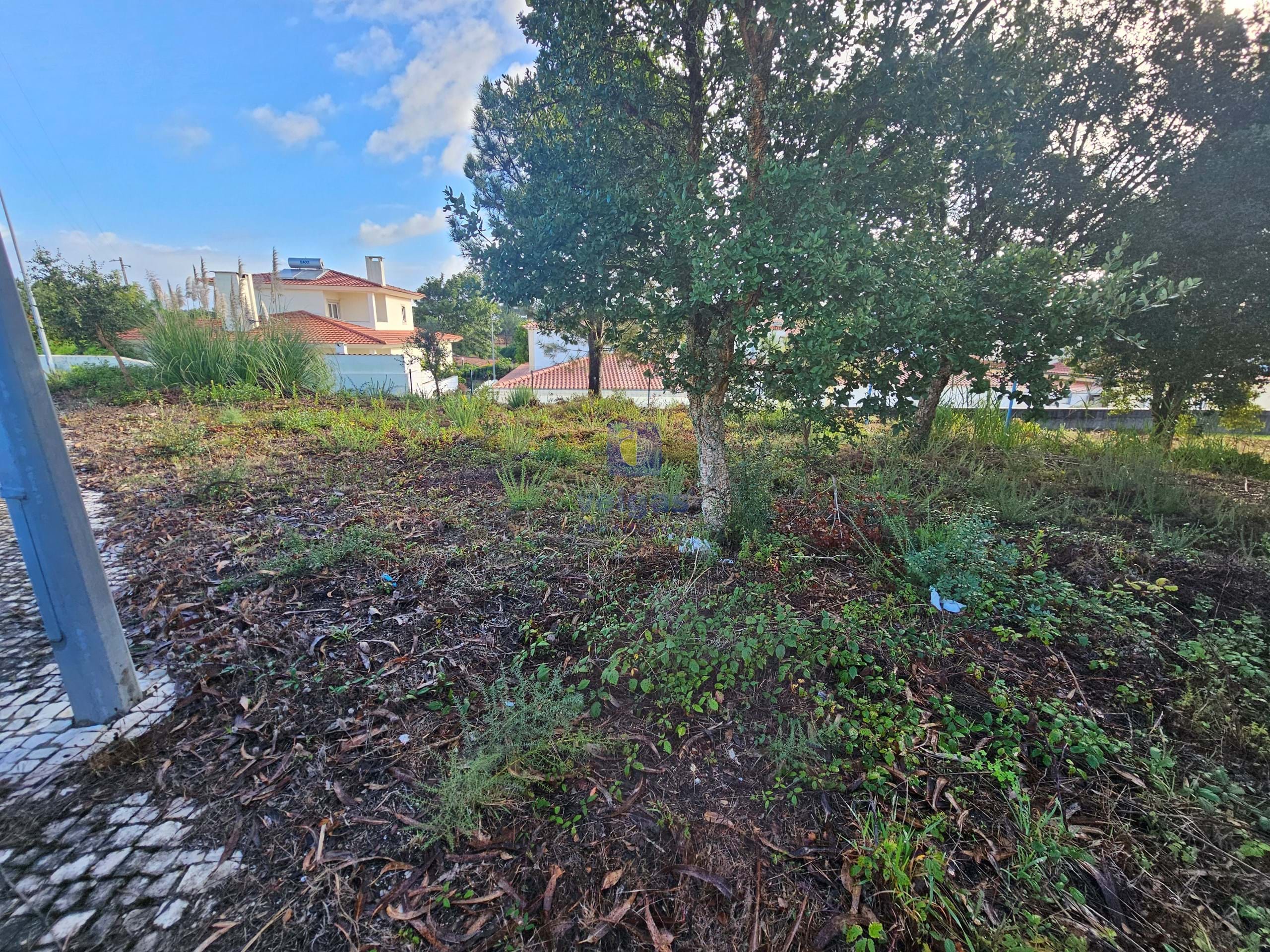 Terreno R�stico T0 - Nadadouro, Caldas da Rainha, Leiria - Miniatura: 2/5