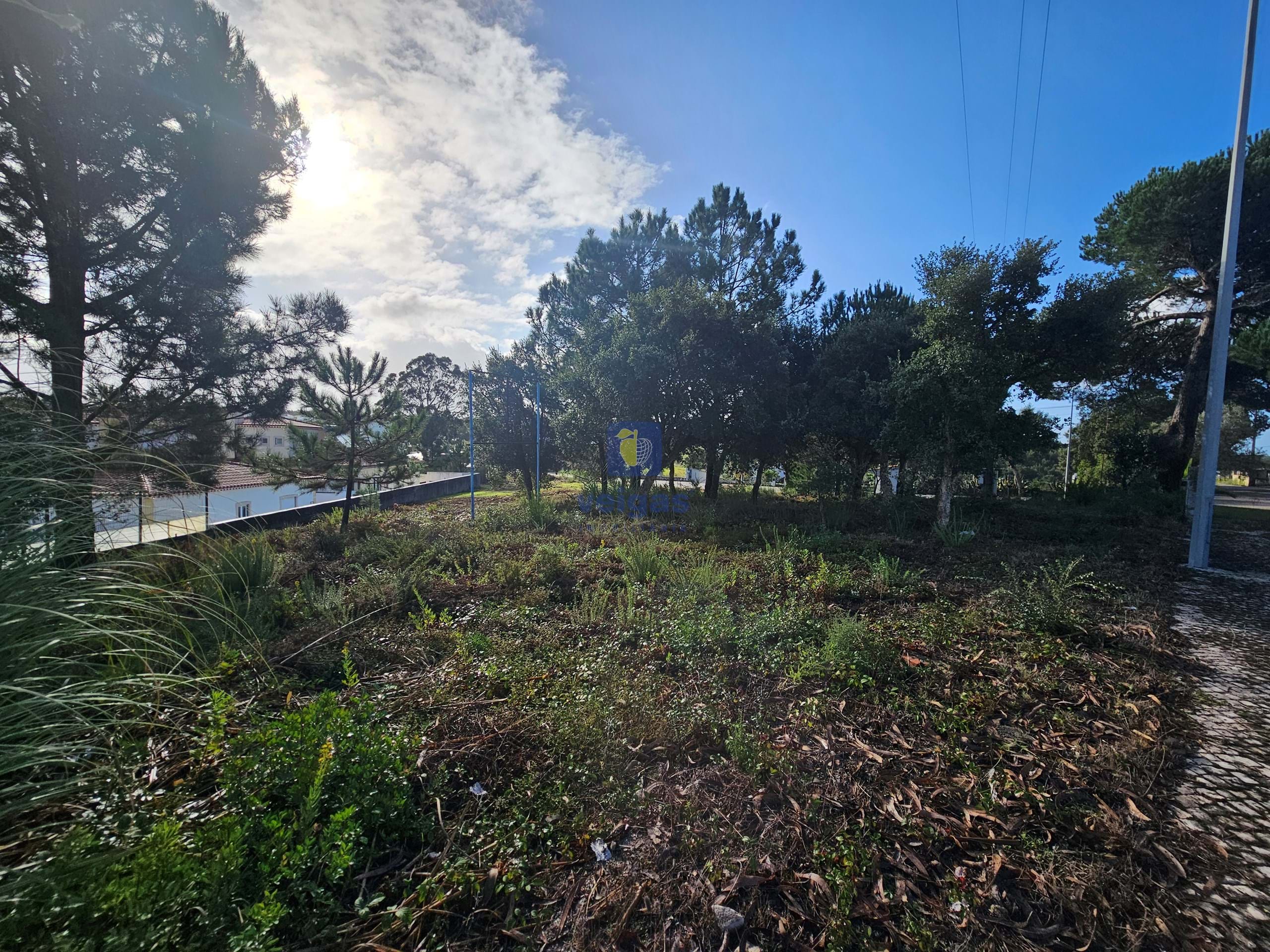 Terreno R�stico T0 - Nadadouro, Caldas da Rainha, Leiria - Miniatura: 3/5
