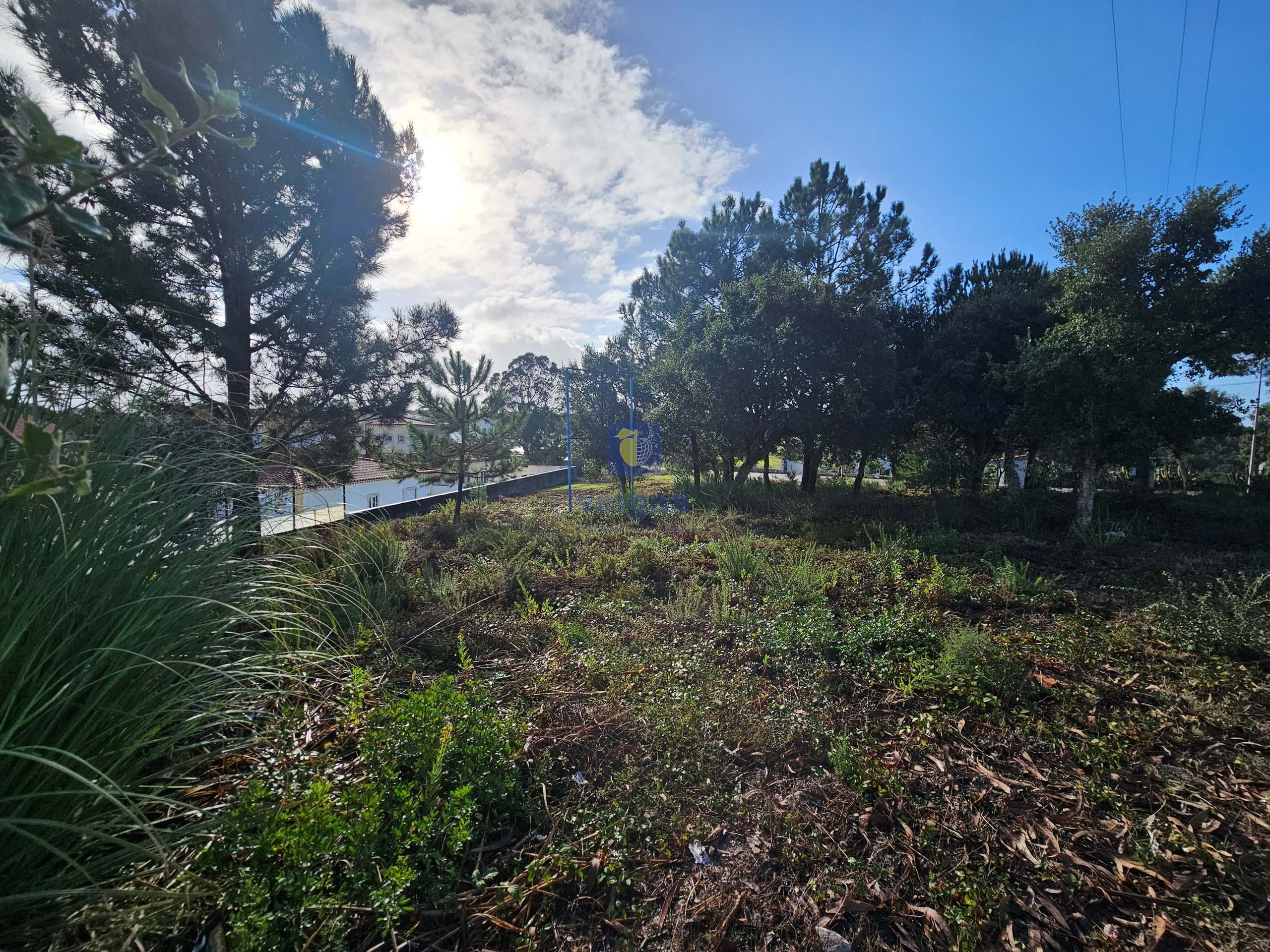 Terreno R�stico T0 - Nadadouro, Caldas da Rainha, Leiria - Miniatura: 4/5