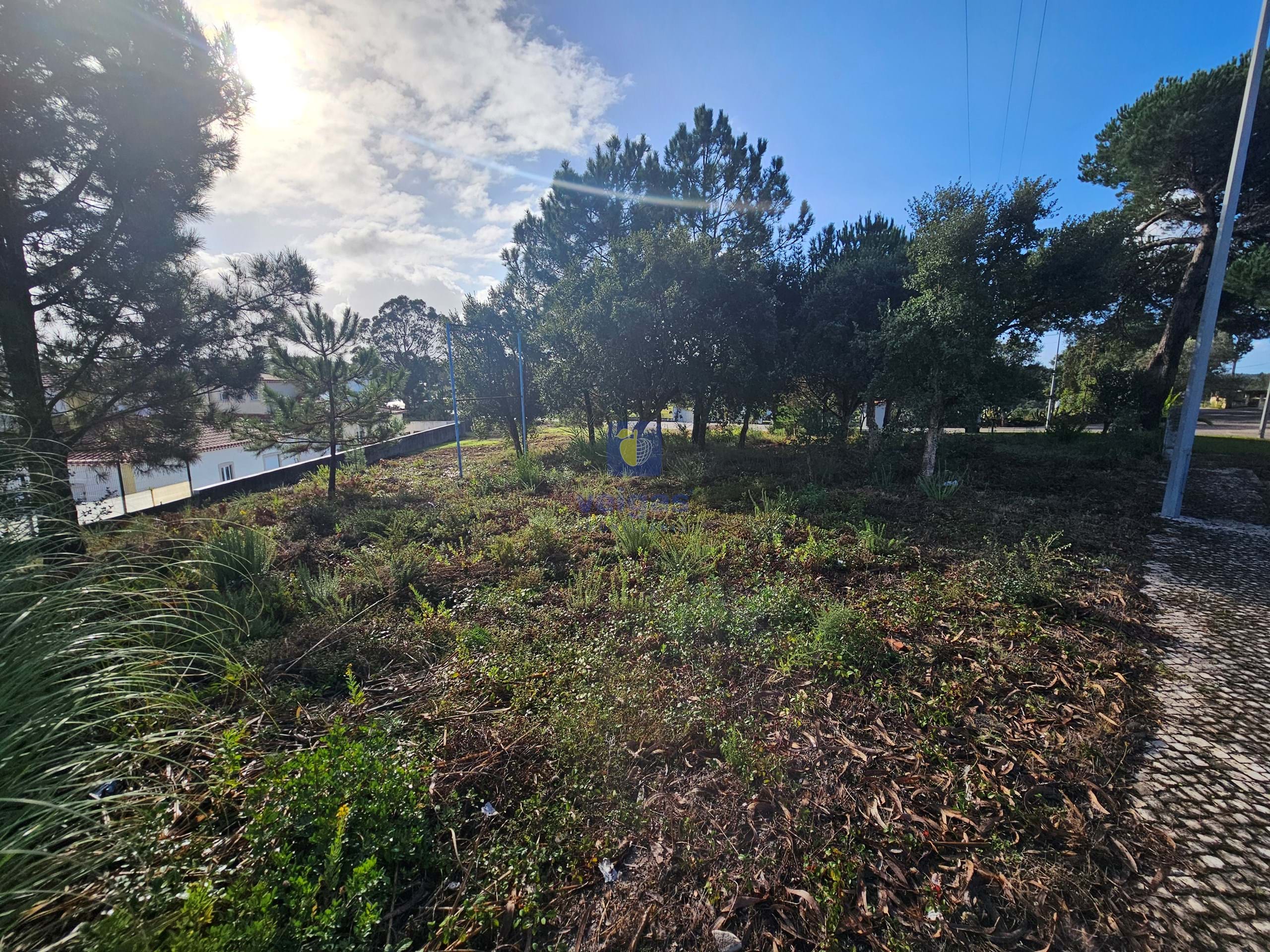 Terreno R�stico T0 - Nadadouro, Caldas da Rainha, Leiria - Miniatura: 5/5