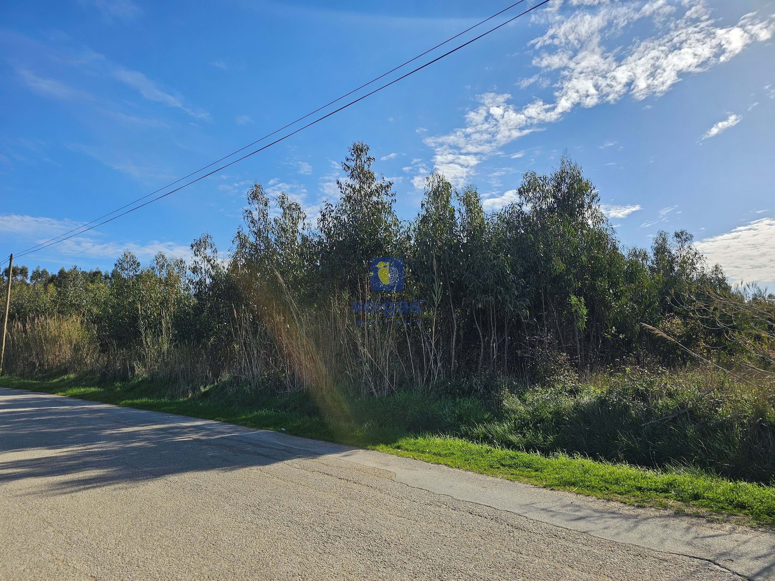 Terreno R�stico T0 - Reguengo Grande, Lourinh�, Lisboa - Miniatura: 8/10