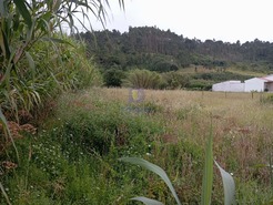Terreno R�stico T0 - Salir de Matos, Caldas da Rainha, Leiria - Miniatura: 2/8