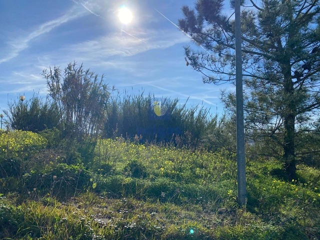 Terreno R�stico T0 - Lourinh�, Lourinh�, Lisboa - Imagem grande