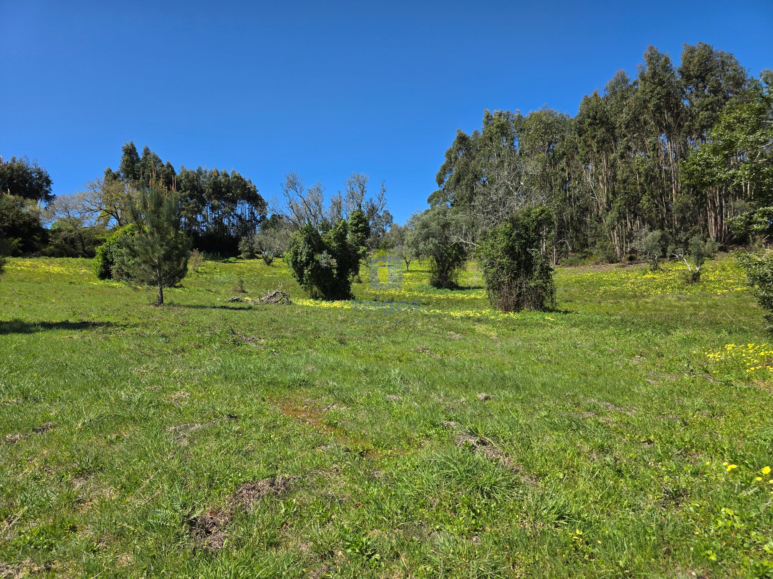 Terreno R�stico T0 - Lamas, Cadaval, Lisboa - Imagem grande