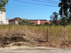 Terreno R�stico T0 - Alcanena, Alcanena, Santar�m