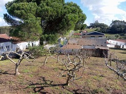 Terreno Urbano T0 - Alvorninha, Caldas da Rainha, Leiria - Miniatura: 4/5