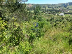 Terreno Rstico T0 - Salir de Matos, Caldas da Rainha, Leiria - Miniatura: 4/25