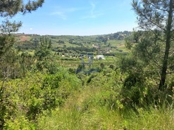 Terreno Rstico T0 - Salir de Matos, Caldas da Rainha, Leiria - Miniatura: 5/25