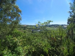 Terreno Rstico T0 - Salir de Matos, Caldas da Rainha, Leiria - Miniatura: 16/25