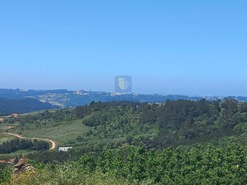 Terreno Rstico T0 - Salir de Matos, Caldas da Rainha, Leiria - Miniatura: 19/25