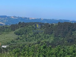 Terreno Rstico T0 - Salir de Matos, Caldas da Rainha, Leiria - Miniatura: 20/25