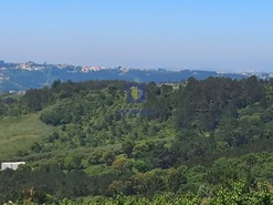 Terreno Rstico T0 - Salir de Matos, Caldas da Rainha, Leiria - Miniatura: 22/25
