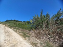 Terreno Rstico T0 - Salir de Matos, Caldas da Rainha, Leiria - Miniatura: 25/25