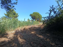 Terreno Rstico T0 - Tornada, Caldas da Rainha, Leiria - Miniatura: 2/8