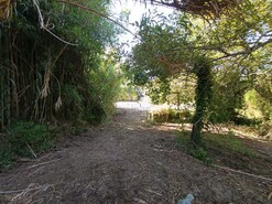 Terreno Rstico T0 - Tornada, Caldas da Rainha, Leiria - Miniatura: 4/8