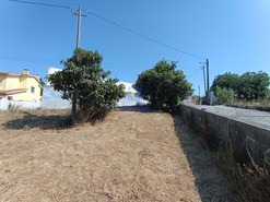 Terreno Rstico T0 - Tornada, Caldas da Rainha, Leiria - Miniatura: 8/8