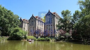 Terreno Rstico T0 - Santo Onofre, Caldas da Rainha, Leiria - Miniatura: 5/5
