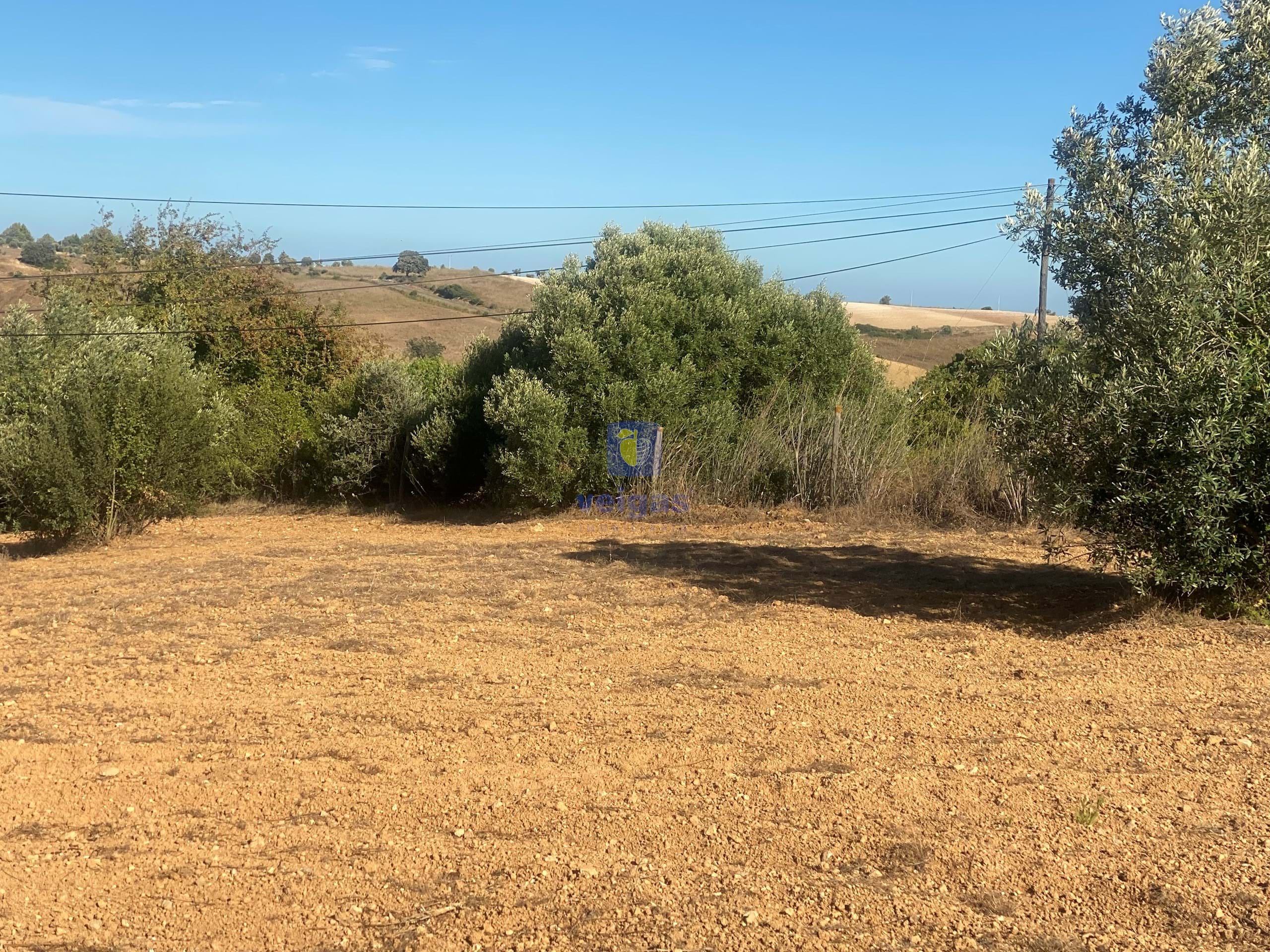 Terreno R�stico T0 - Abitureiras, Santar�m, Santar�m - Miniatura: 12/20