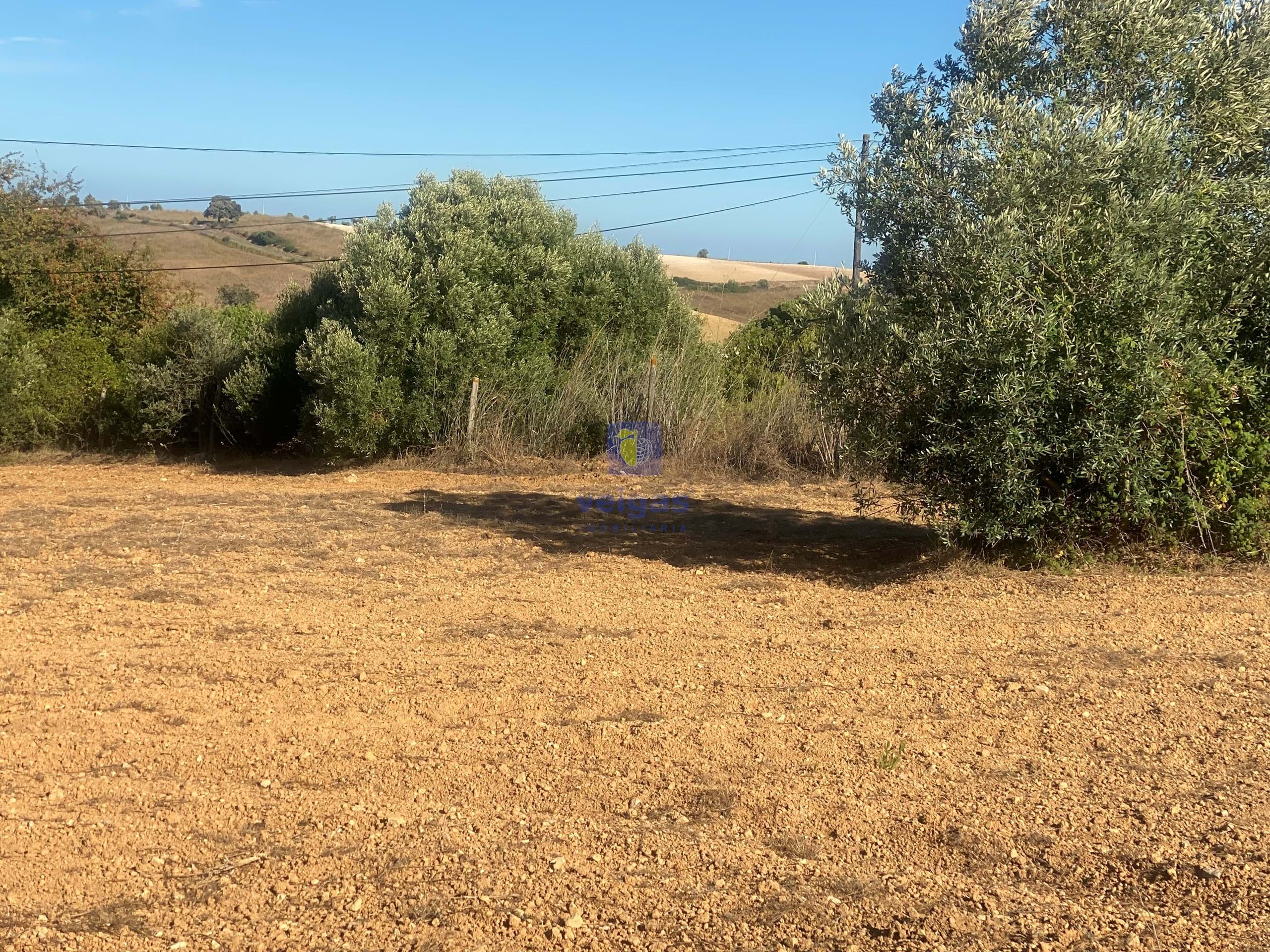 Terreno R�stico T0 - Abitureiras, Santar�m, Santar�m - Miniatura: 13/20