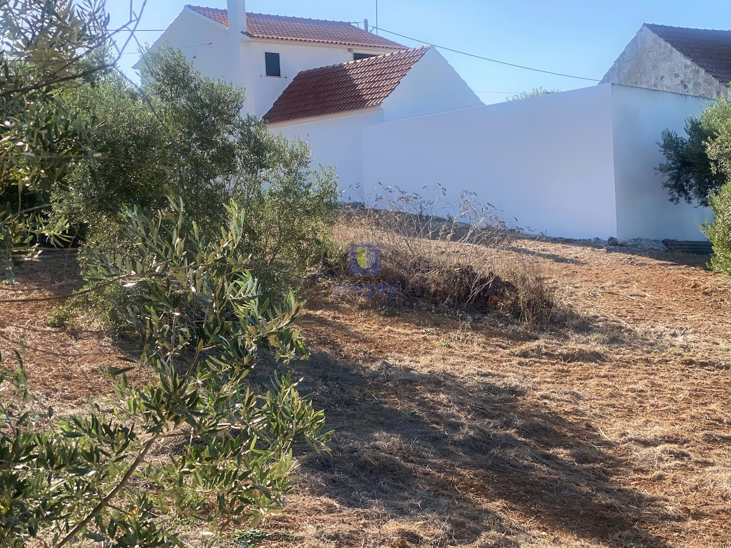 Terreno R�stico T0 - Abitureiras, Santar�m, Santar�m - Miniatura: 14/20