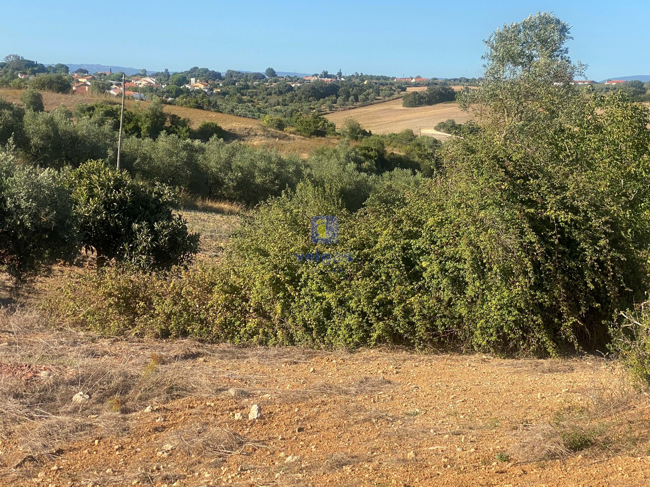 Terreno R�stico T0 - Abitureiras, Santar�m, Santar�m - Miniatura: 15/20