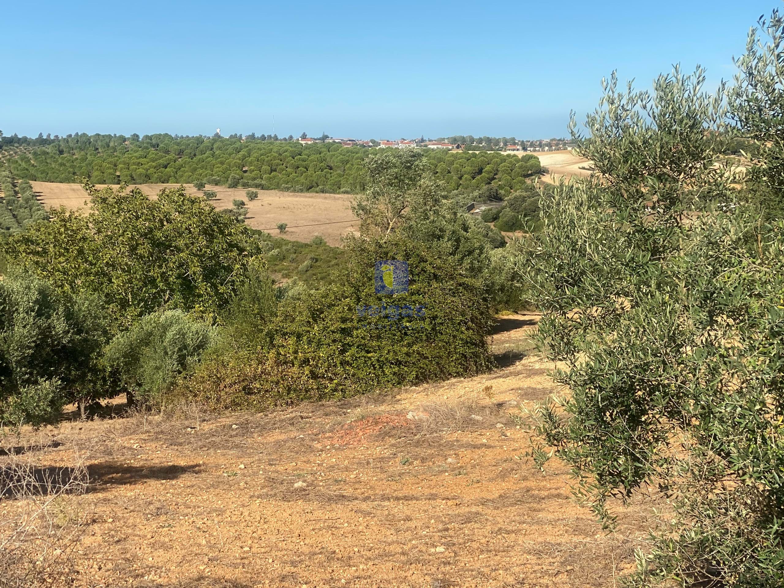 Terreno R�stico T0 - Abitureiras, Santar�m, Santar�m - Miniatura: 18/20