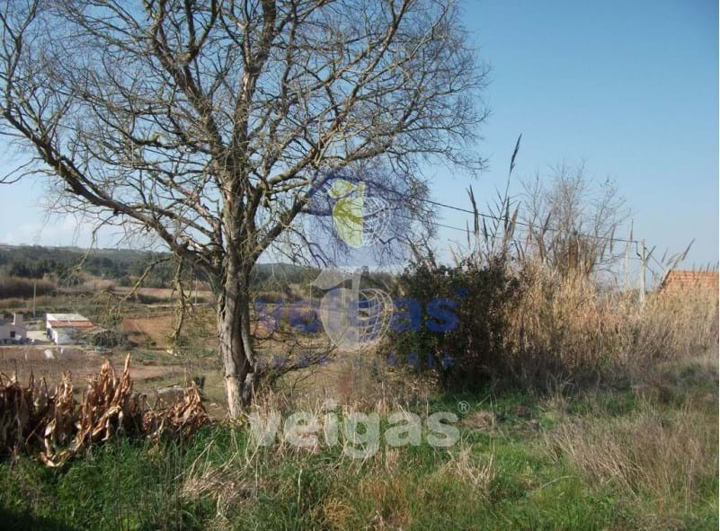 Terreno R�stico T0 - Santa Maria, �bidos, Leiria - Miniatura: 1/18
