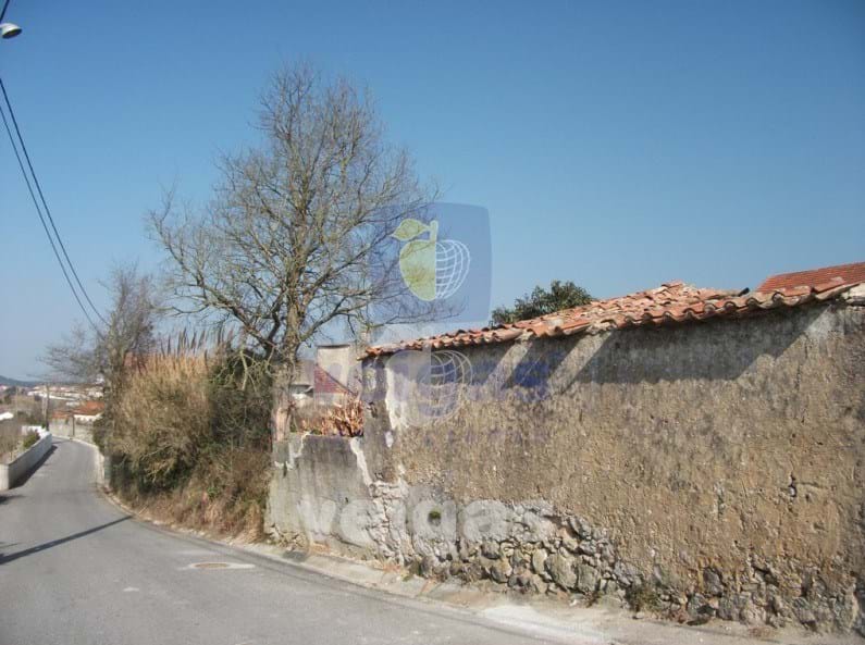 Terreno R�stico T0 - Santa Maria, �bidos, Leiria - Miniatura: 2/18
