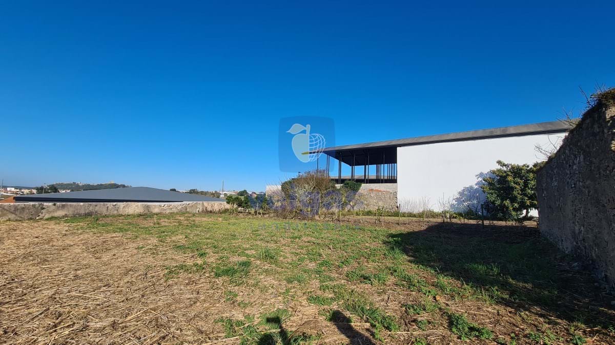 Terreno R�stico T0 - Santa Maria, �bidos, Leiria - Miniatura: 9/18