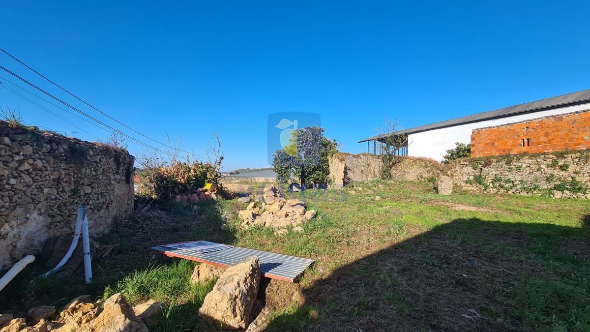 Terreno R�stico T0 - Santa Maria, �bidos, Leiria - Miniatura: 11/18