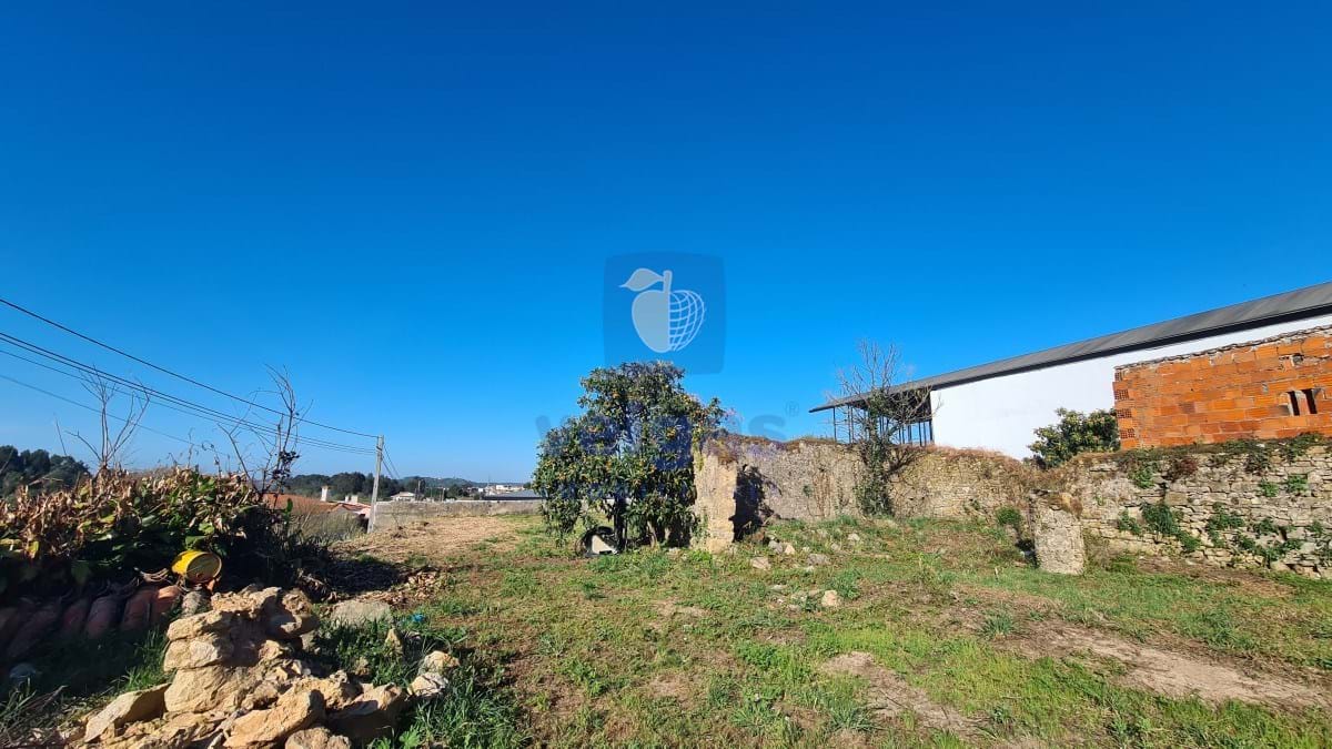 Terreno R�stico T0 - Santa Maria, �bidos, Leiria - Miniatura: 13/18