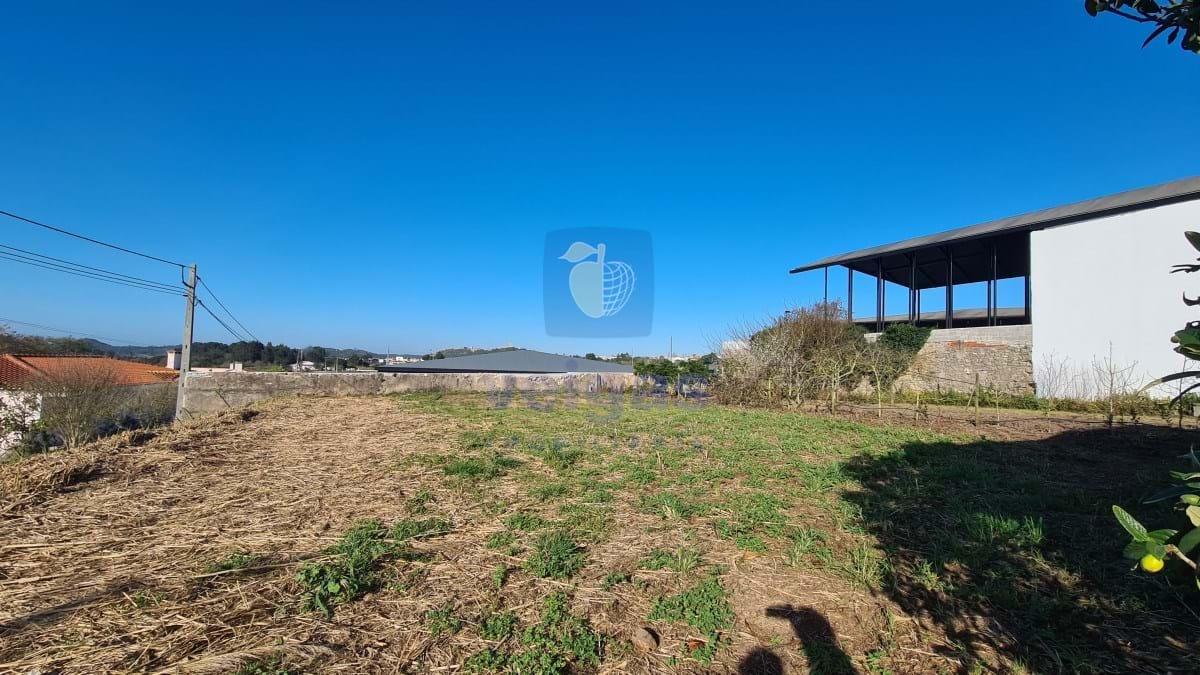Terreno R�stico T0 - Santa Maria, �bidos, Leiria - Miniatura: 14/18