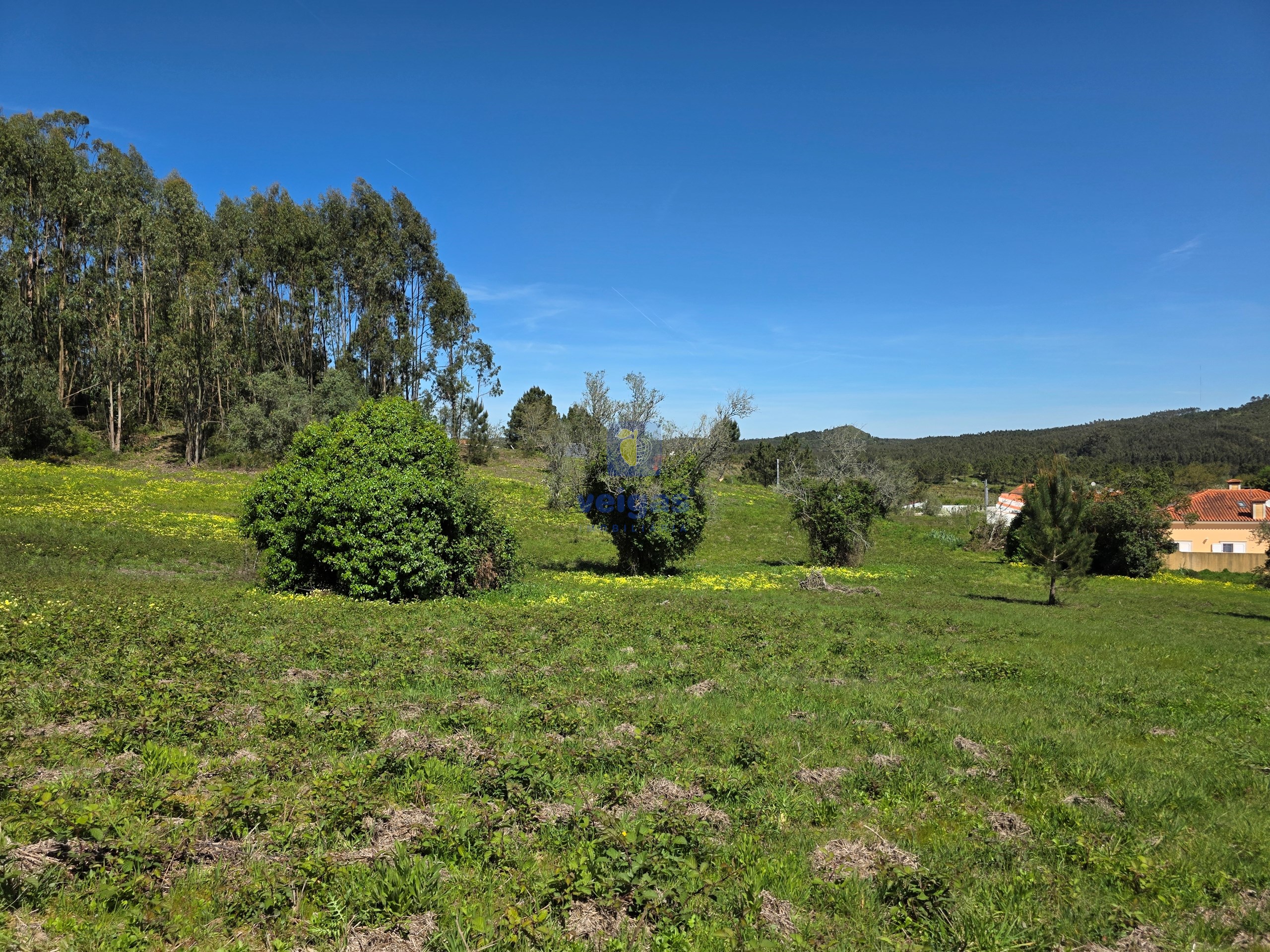 Terreno R�stico T0 - Lamas, Cadaval, Lisboa - Miniatura: 3/6