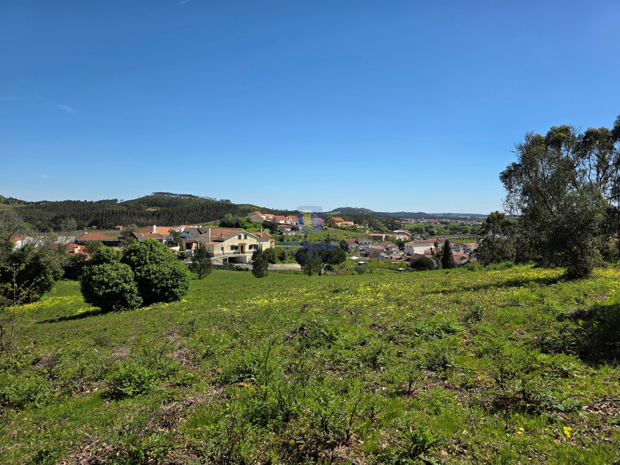 Terreno R�stico T0 - Lamas, Cadaval, Lisboa - Miniatura: 5/6
