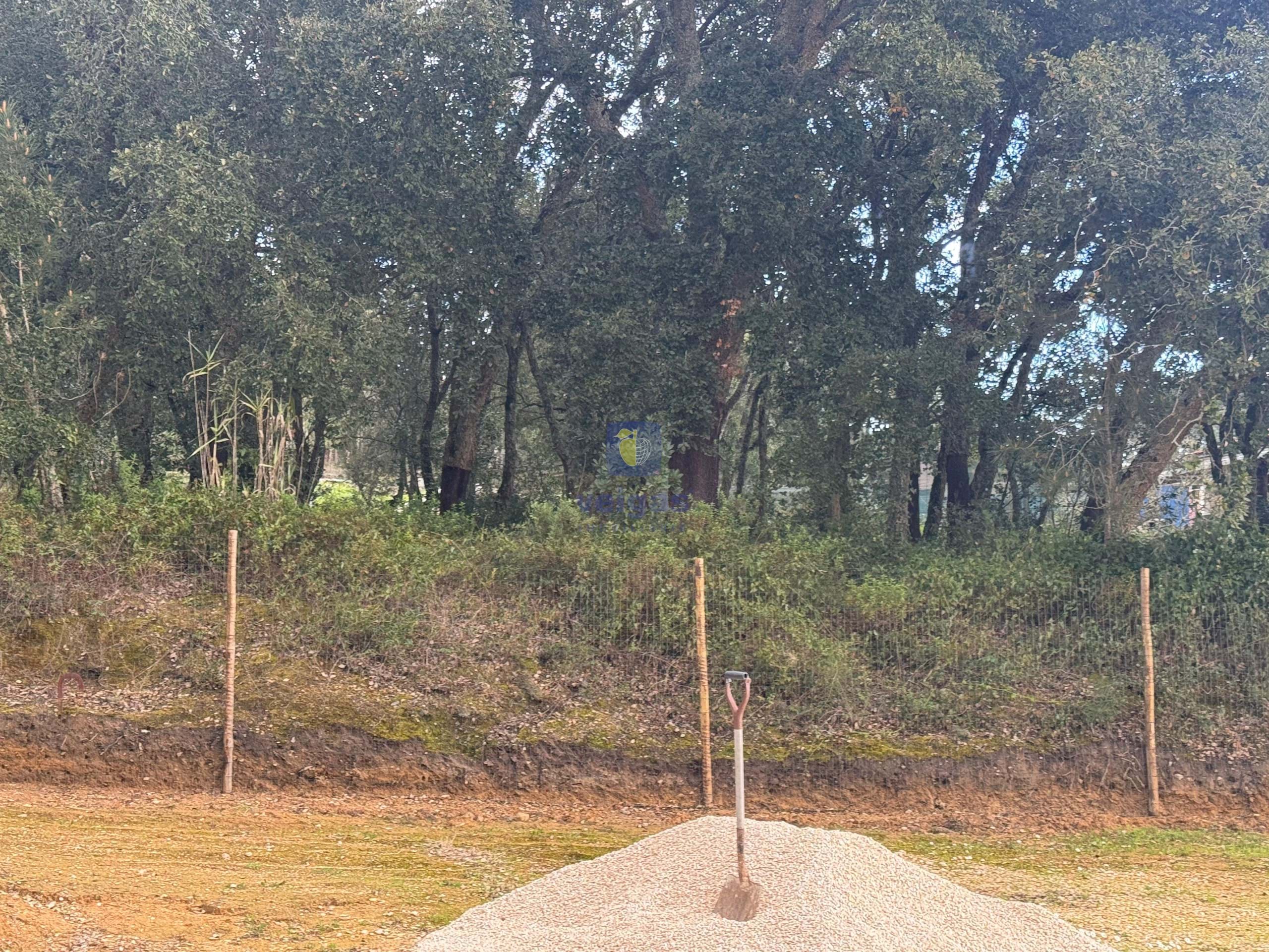 Terreno R�stico T0 - Rio Maior, Rio Maior, Santar�m - Imagem grande