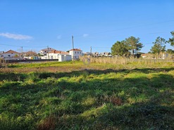 Terreno Rstico T0 - Tornada, Caldas da Rainha, Leiria - Miniatura: 5/18