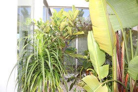 Moradia T4 - Atouguia da Baleia, Peniche, Leiria - Miniatura: 19/39