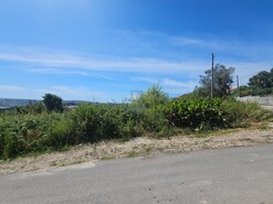Terreno Urbano T0 - Aljubarrota, Alcobaa, Leiria - Miniatura: 2/9