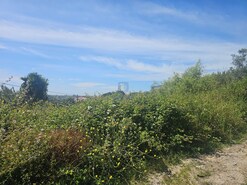 Terreno Urbano T0 - Aljubarrota, Alcobaa, Leiria - Miniatura: 5/9