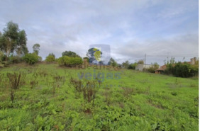 Moradia T3 - Alvorninha, Caldas da Rainha, Leiria - Miniatura: 22/23