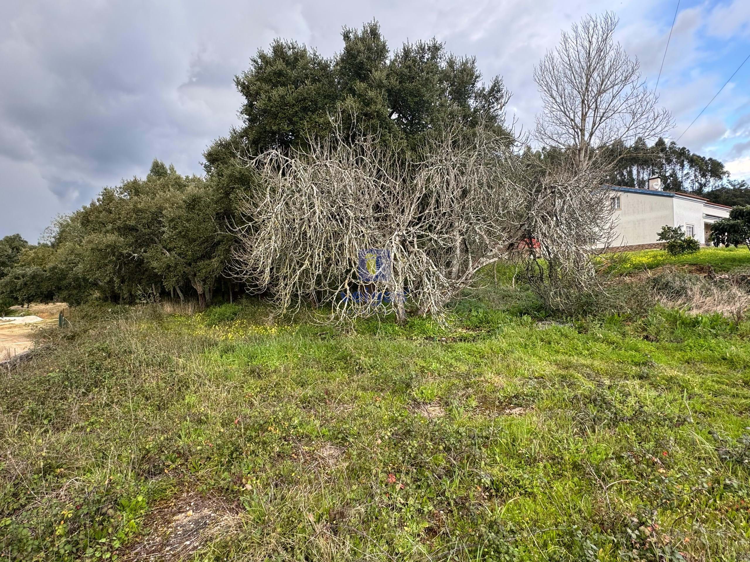 Terreno R�stico T0 - Rio Maior, Rio Maior, Santar�m - Miniatura: 3/10