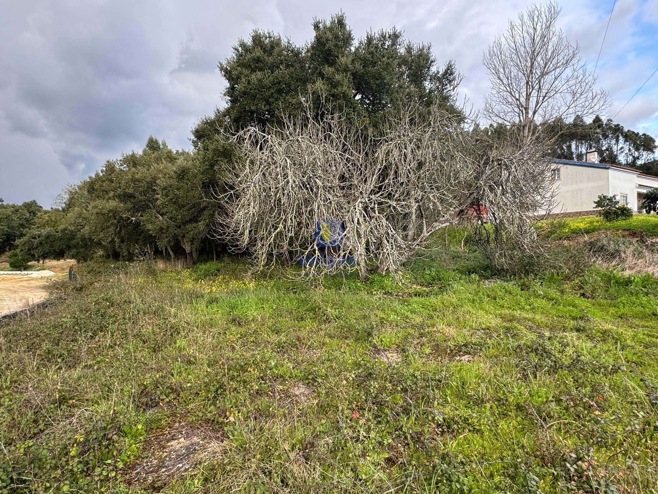 Terreno R�stico T0 - Rio Maior, Rio Maior, Santar�m - Miniatura: 8/10